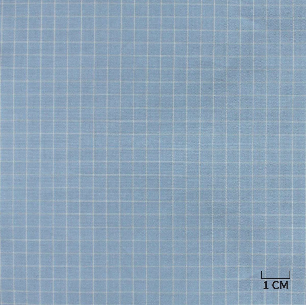 BLUE, WHITE CHECKS