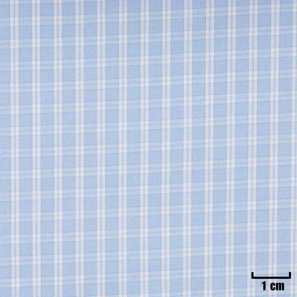 BLUE, SMALL WHITE CHECKS