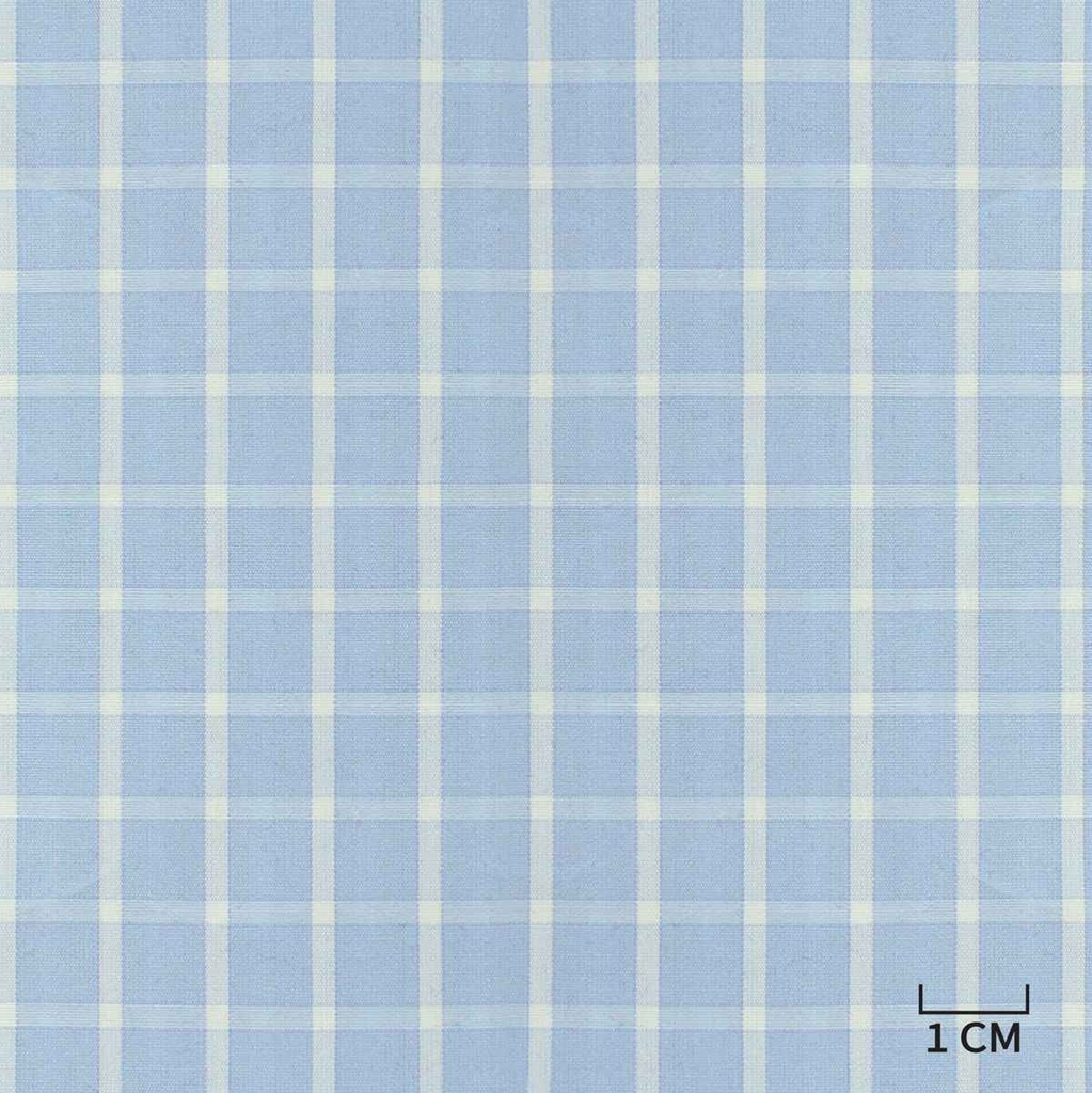 BLUE, WHITE CHECKS