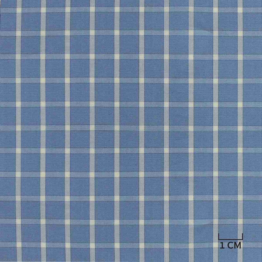 BLUE, WHITE CHECKS