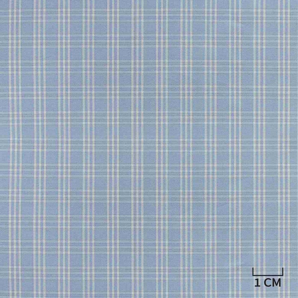 BLUE, WHITE CHECKS