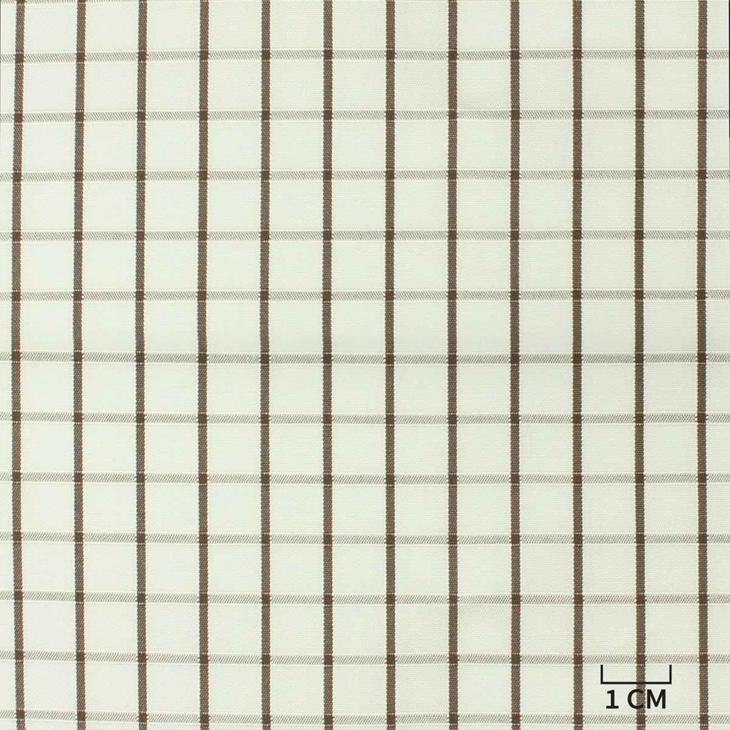 WHITE, BROWN CHECKS