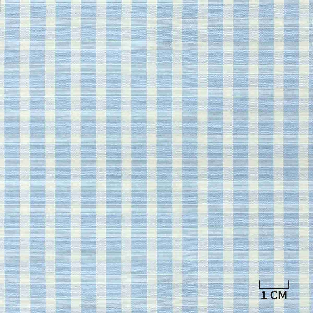 BLUE/WHITE, CHECKS