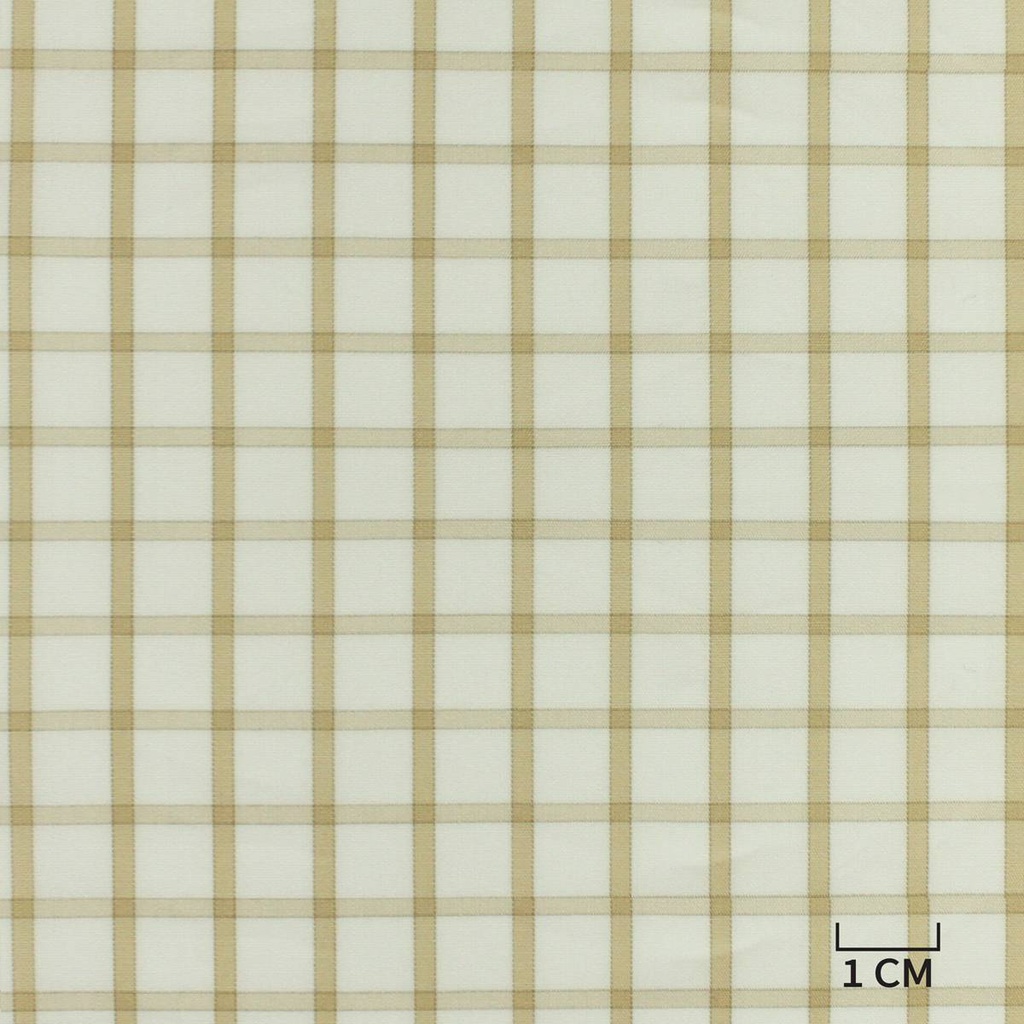 WHITE, TAN CHECKS