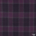 BROWN, PURPLE CHECKS