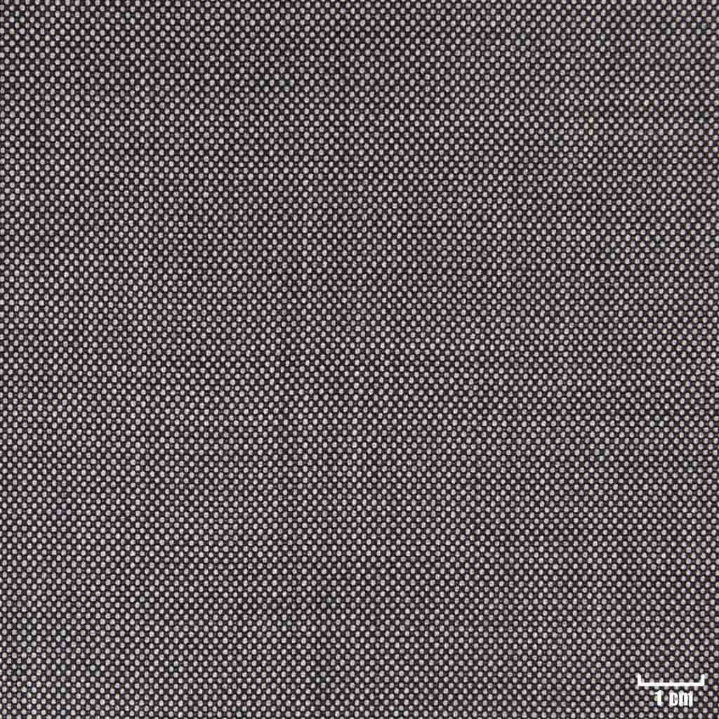 GREY, BIRDEYE