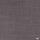 GREY, BIRDEYE