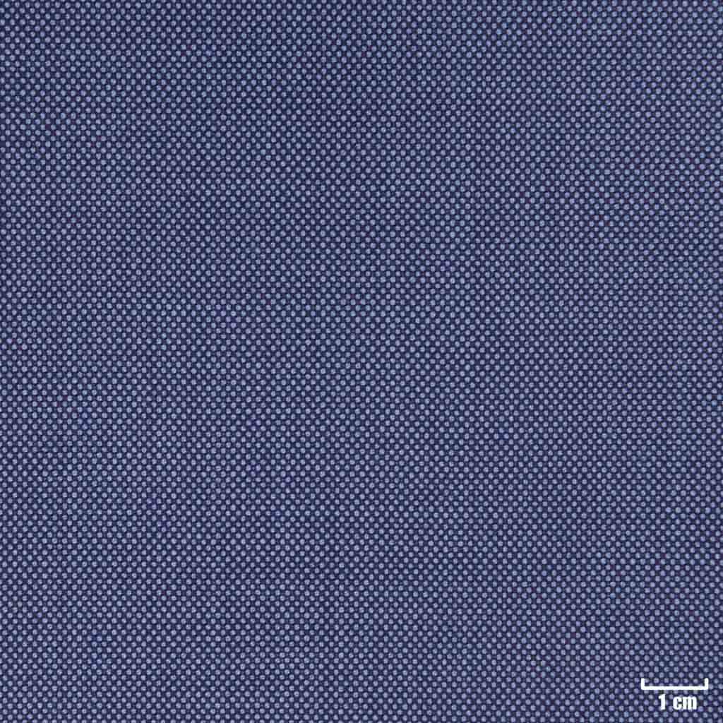 LIGHT BLUE, BIRDEYE