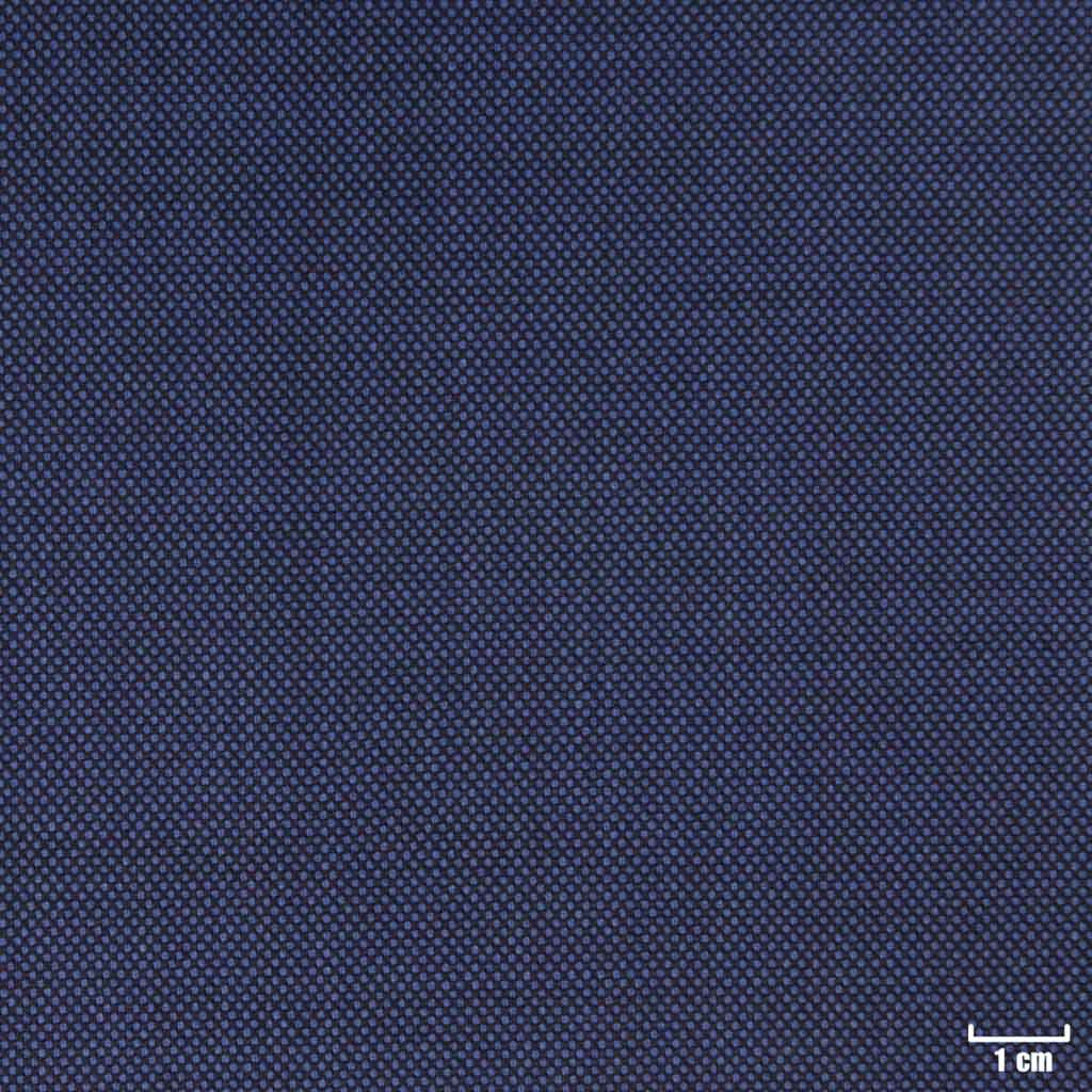 DARK BLUE, BIRDEYE