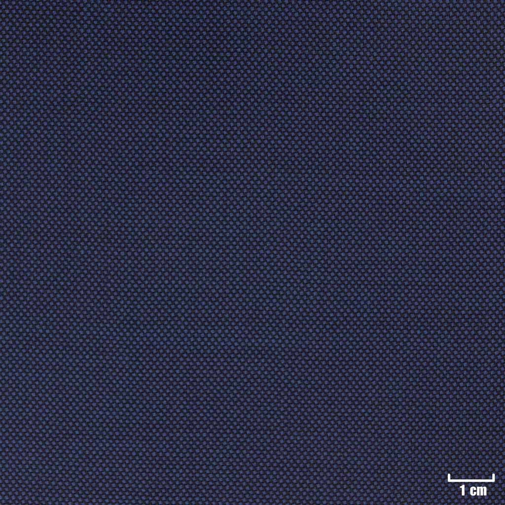 BLUE, BIRDEYE