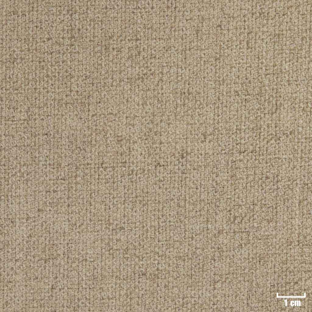 TAN, PLAIN
