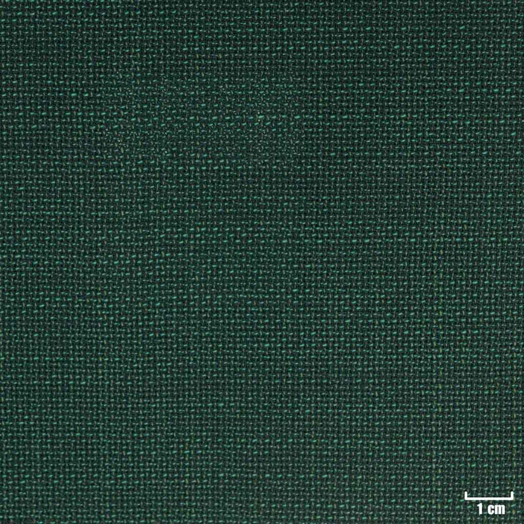DARK GREEN, HOPSACK
