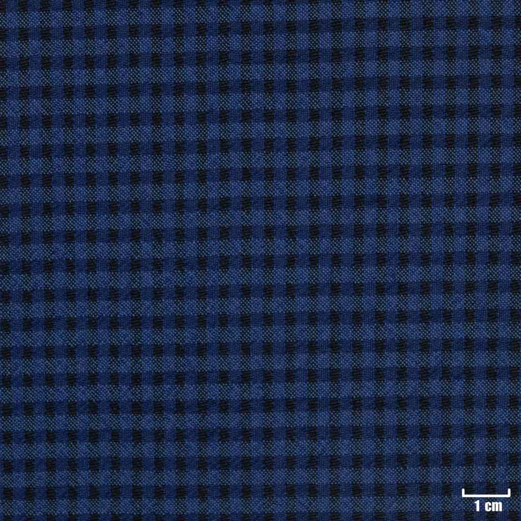 BLUE, CHECKS
