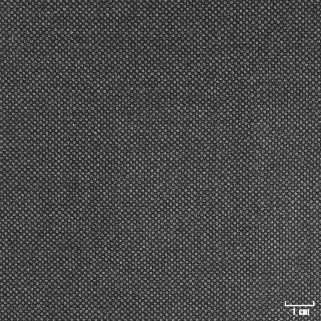 GREY, BIRDEYE