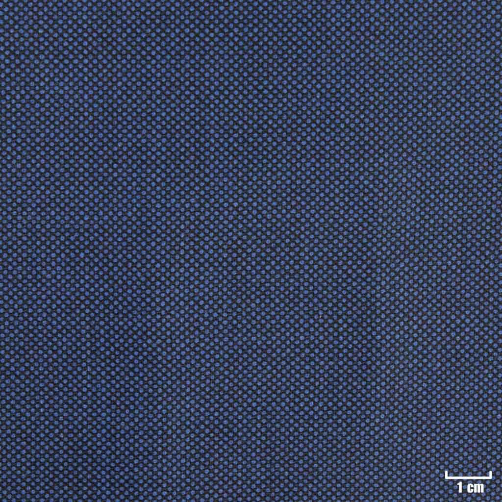 BLUE, BIRDEYE