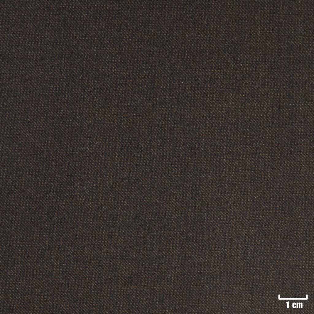 BROWN, PLAIN