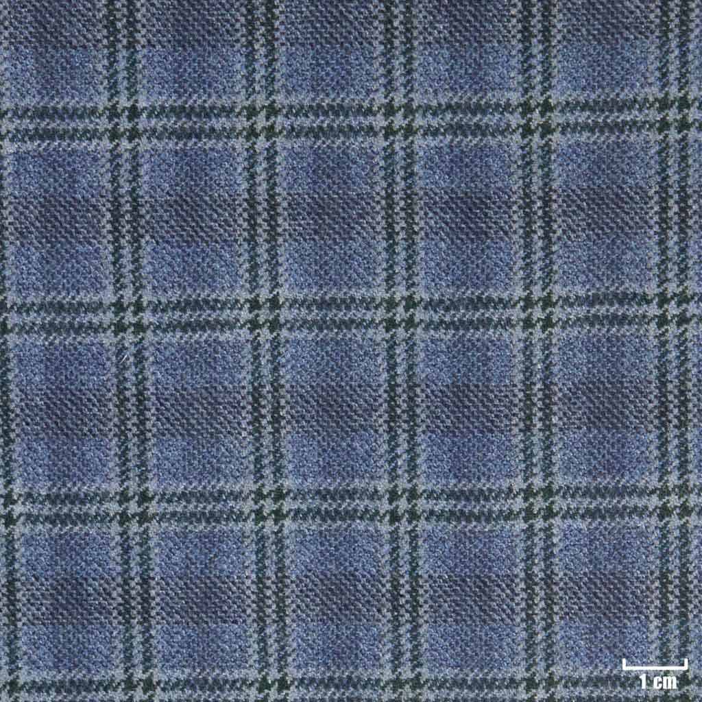 BLUE, CHECKS
