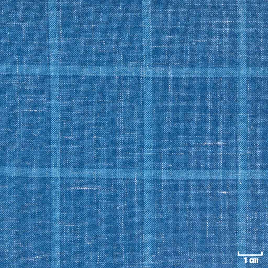 BLUE, BIG CHECKS