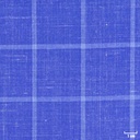 BLUE, BIG CHECKS