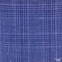 BLUE, CHECKS