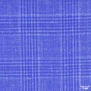 BLUE, CHECKS