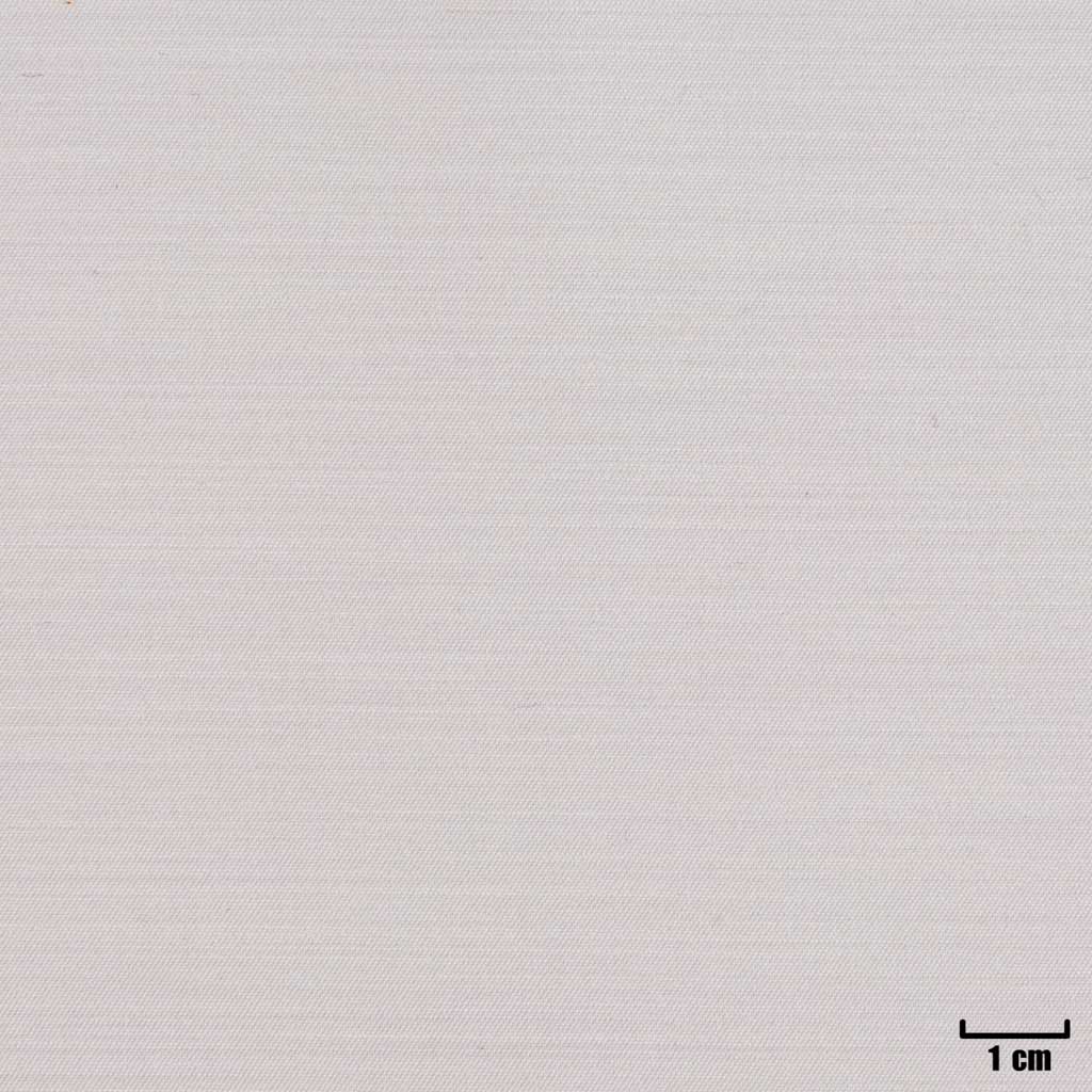 WHITE, PLAIN