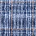 BLUE, BROWN CHECKS