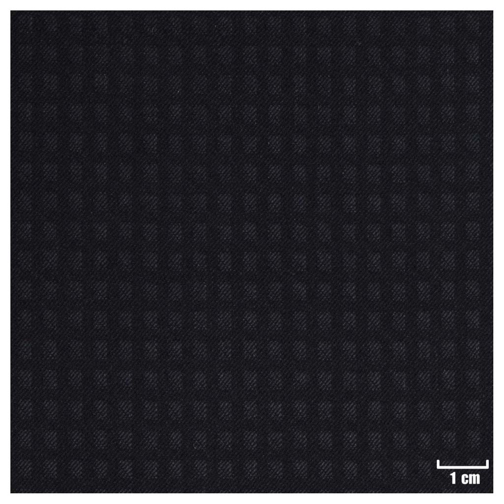 BLACK, SMALL CHECKS