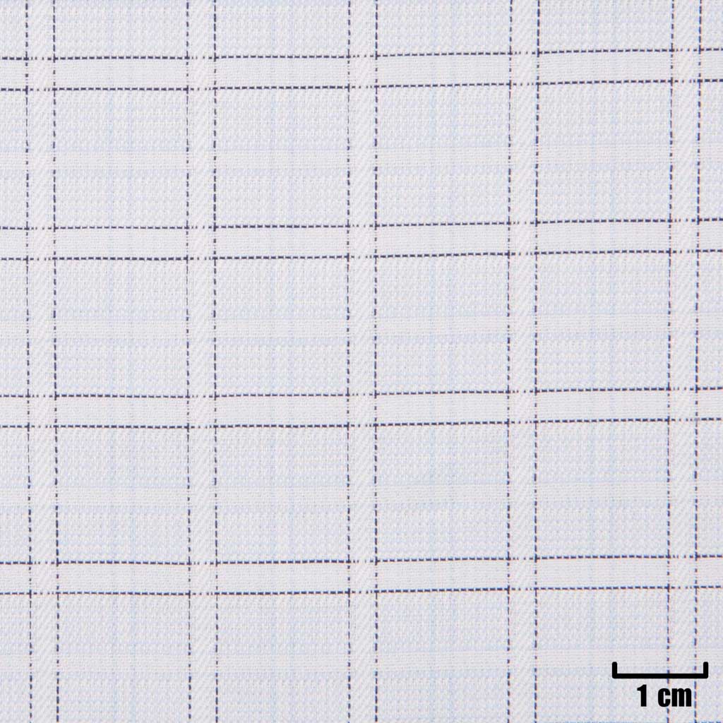 WHITE, BLUE CHECKS