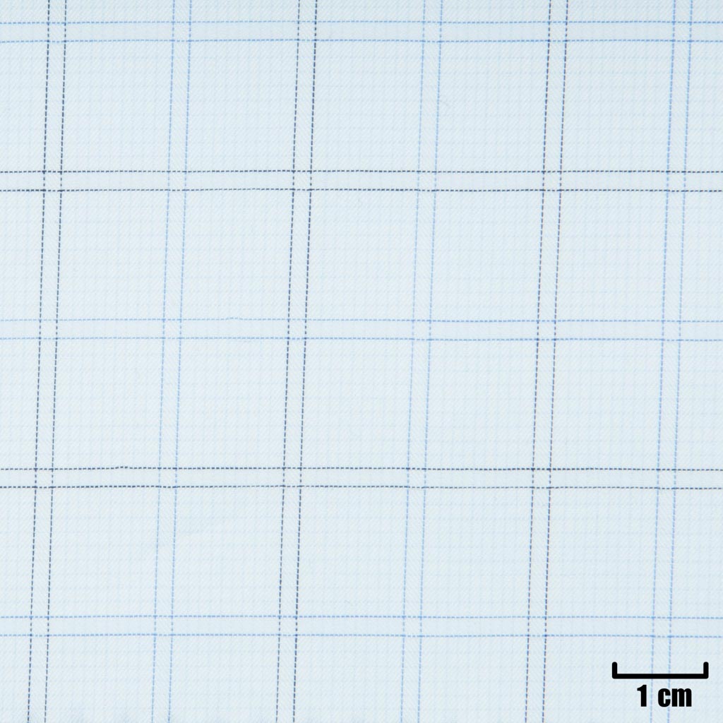 WHITE, BLUE CHECKS