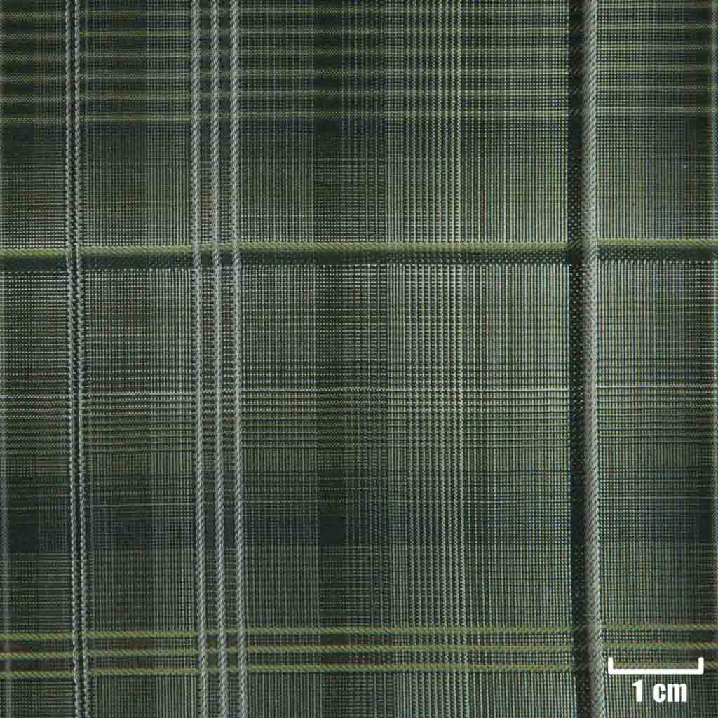 PURPLE, BIG GREEN CHECKS