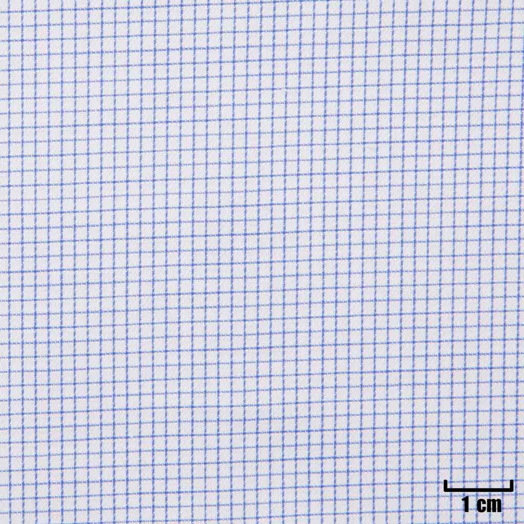 WHITE, SMALL BLUE CHECKS