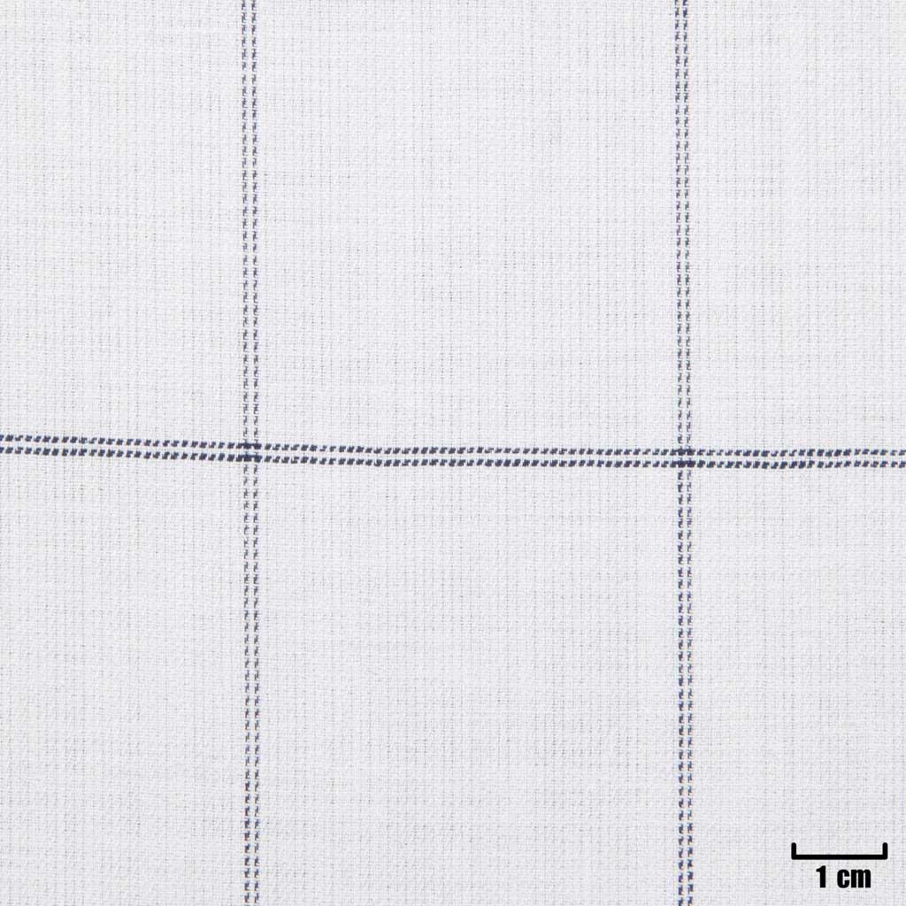 WHITE, CHECKS