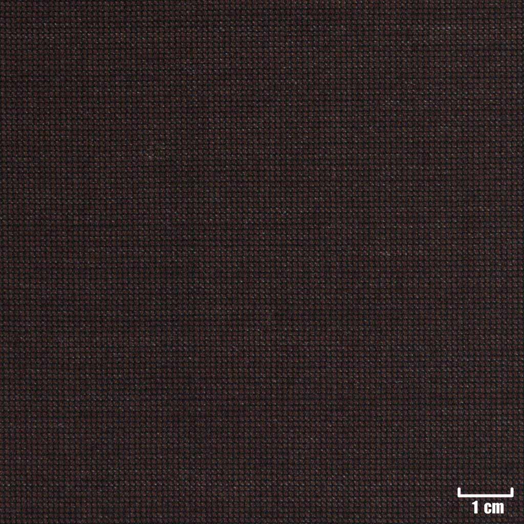 BROWN, DOTTED PATTERN