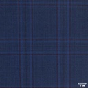 BLUE, BROWN CHECKS