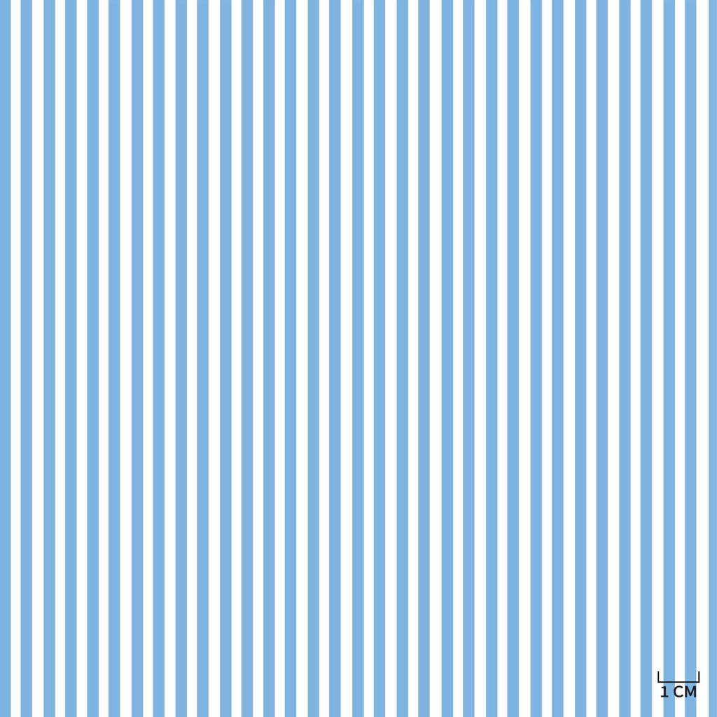 BLUE/WHITE STRIPES/LINING
