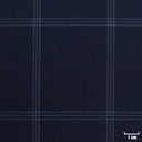 BLUE, BIG CHECKS