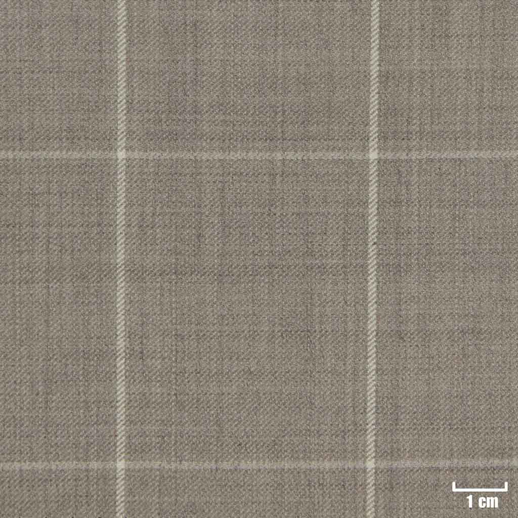 TAN, OFF WHITE CHECKS