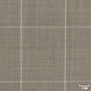 TAN, OFF WHITE CHECKS