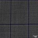 GREY, BLUE CHECKS