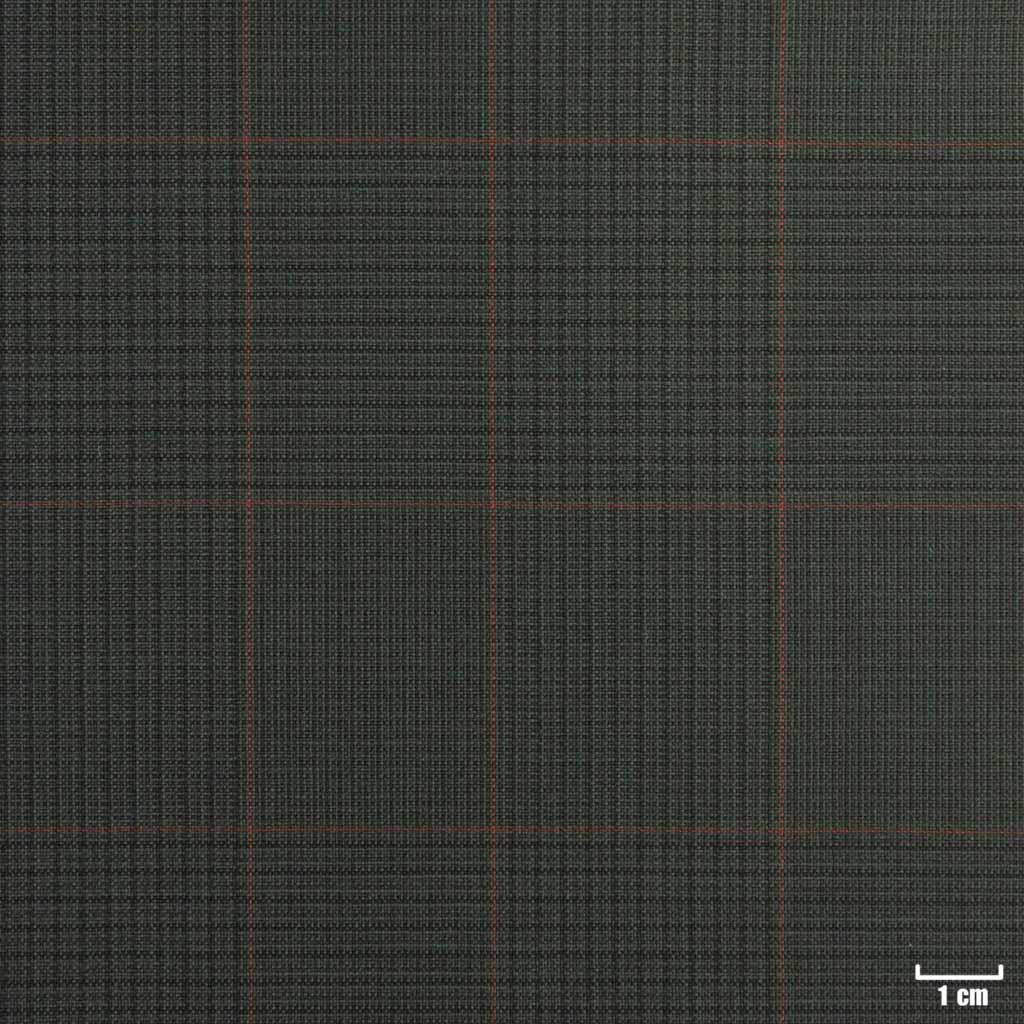 GREEN, RED CHECKS