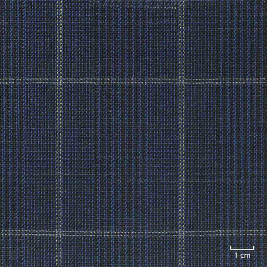 BLUE, CHECKS (ST# 27006)