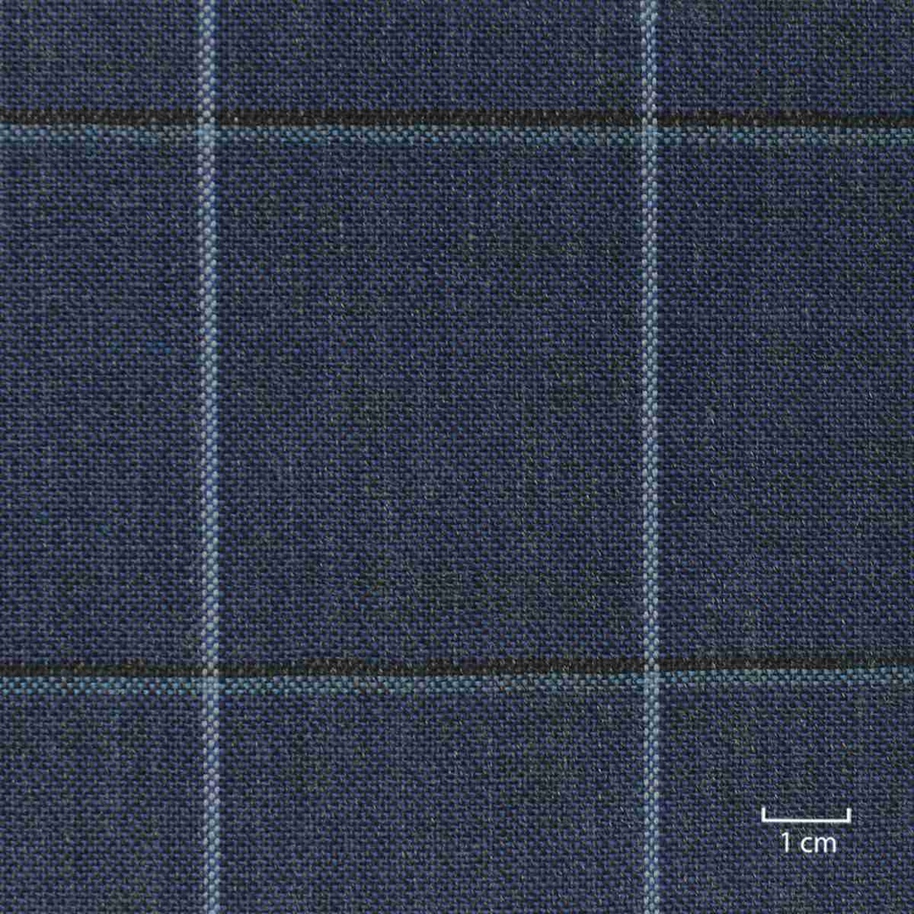 BLUE, CHECKS (ST# 27014)