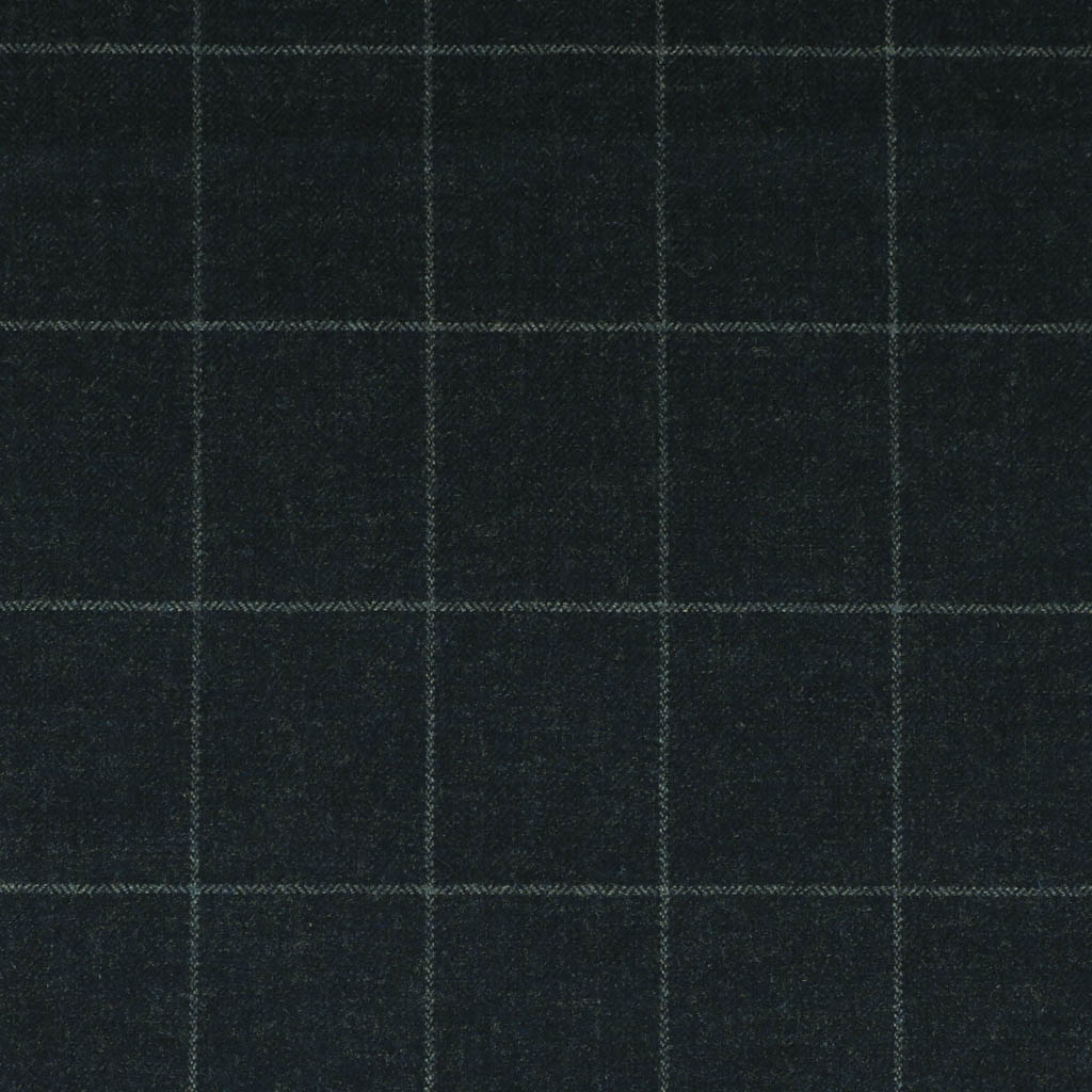 BLUE, CHECKS (ST# 19035)