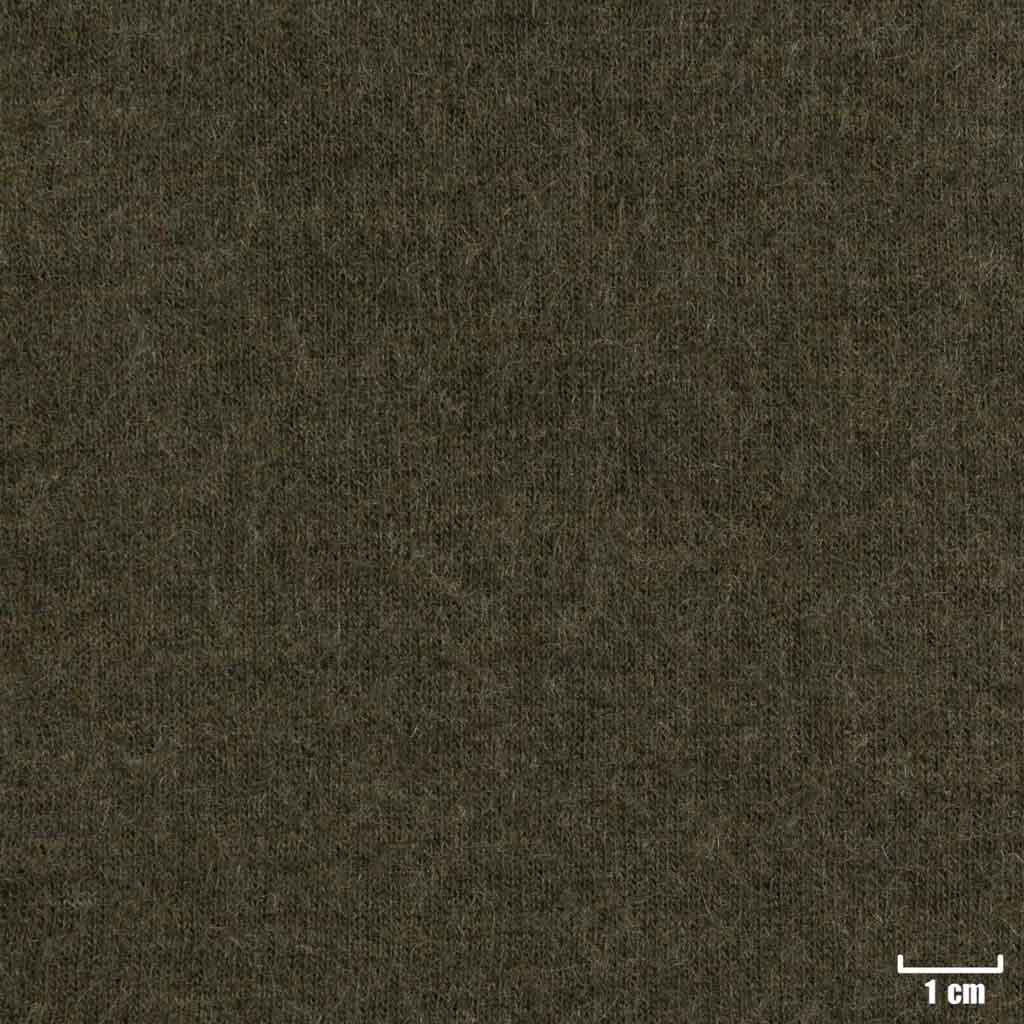 DARK GREEN, PLAIN