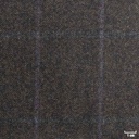 BROWN, BLUE CHECKS
