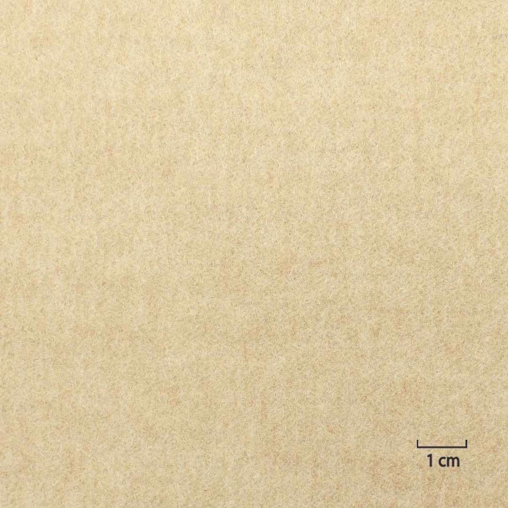 TAN, PLAIN
