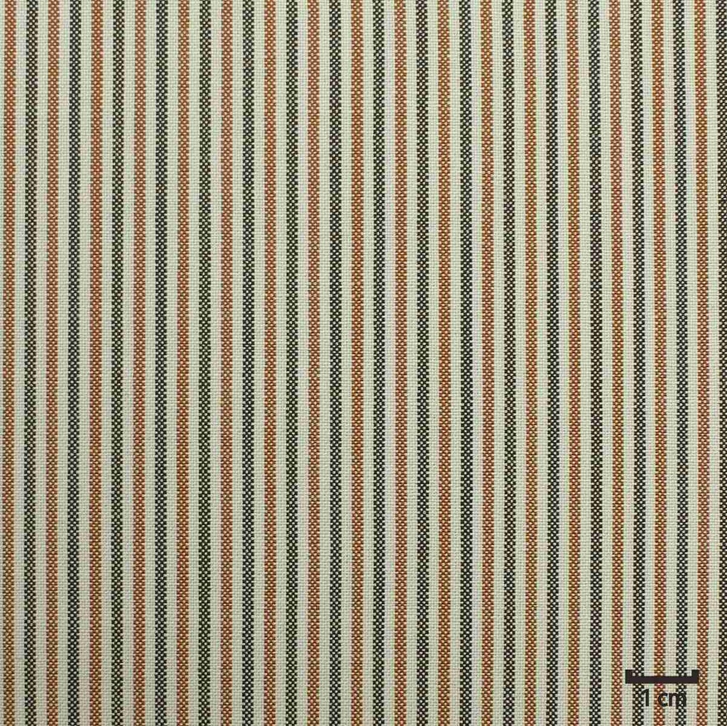 WHITE/ORANGE, STRIPE