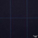 NAVY,CHECKS