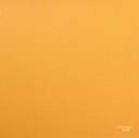 LIGHT ORANGE, PLAIN